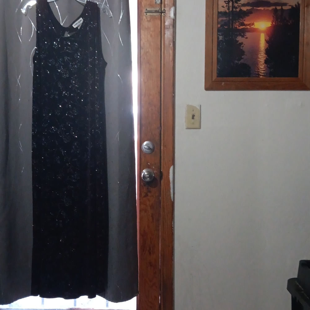 Wayne diamond designs vintage sparkle sleeveless floral maxi dress